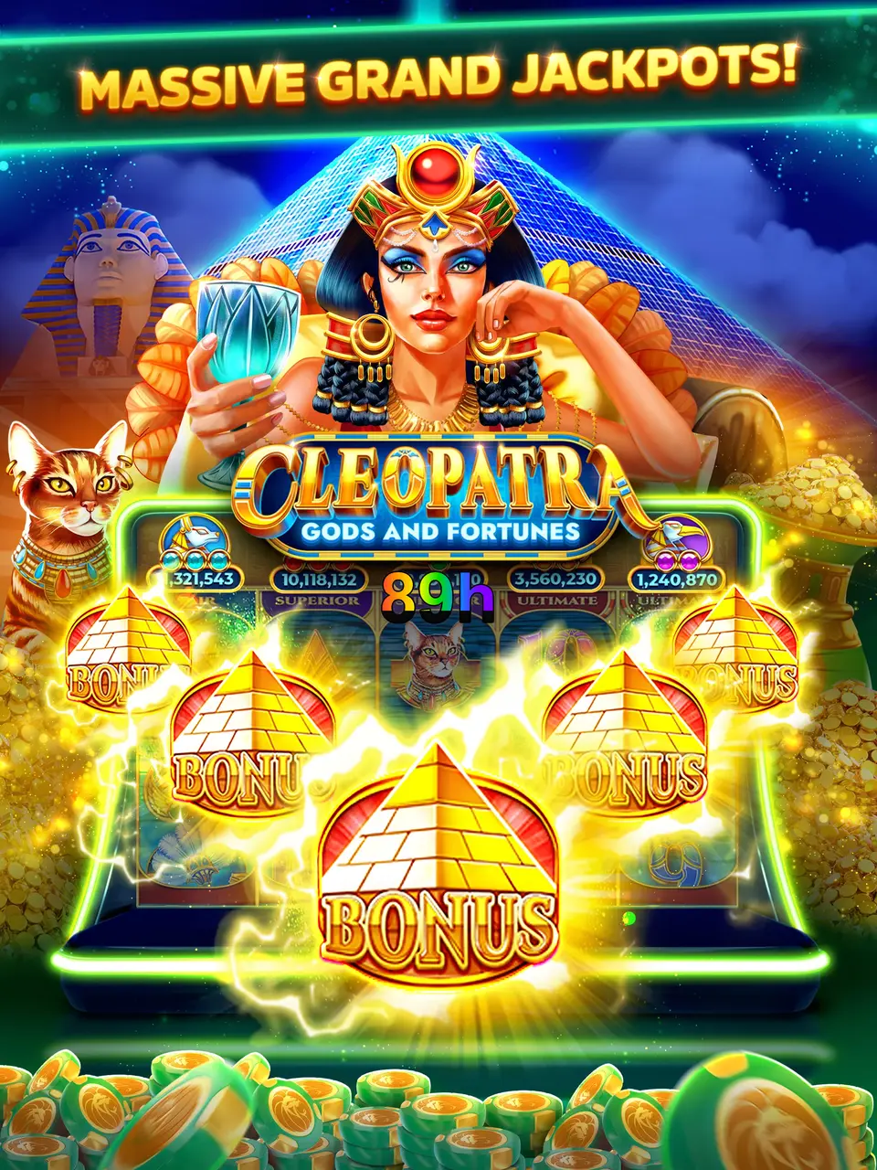89h Mag-login
