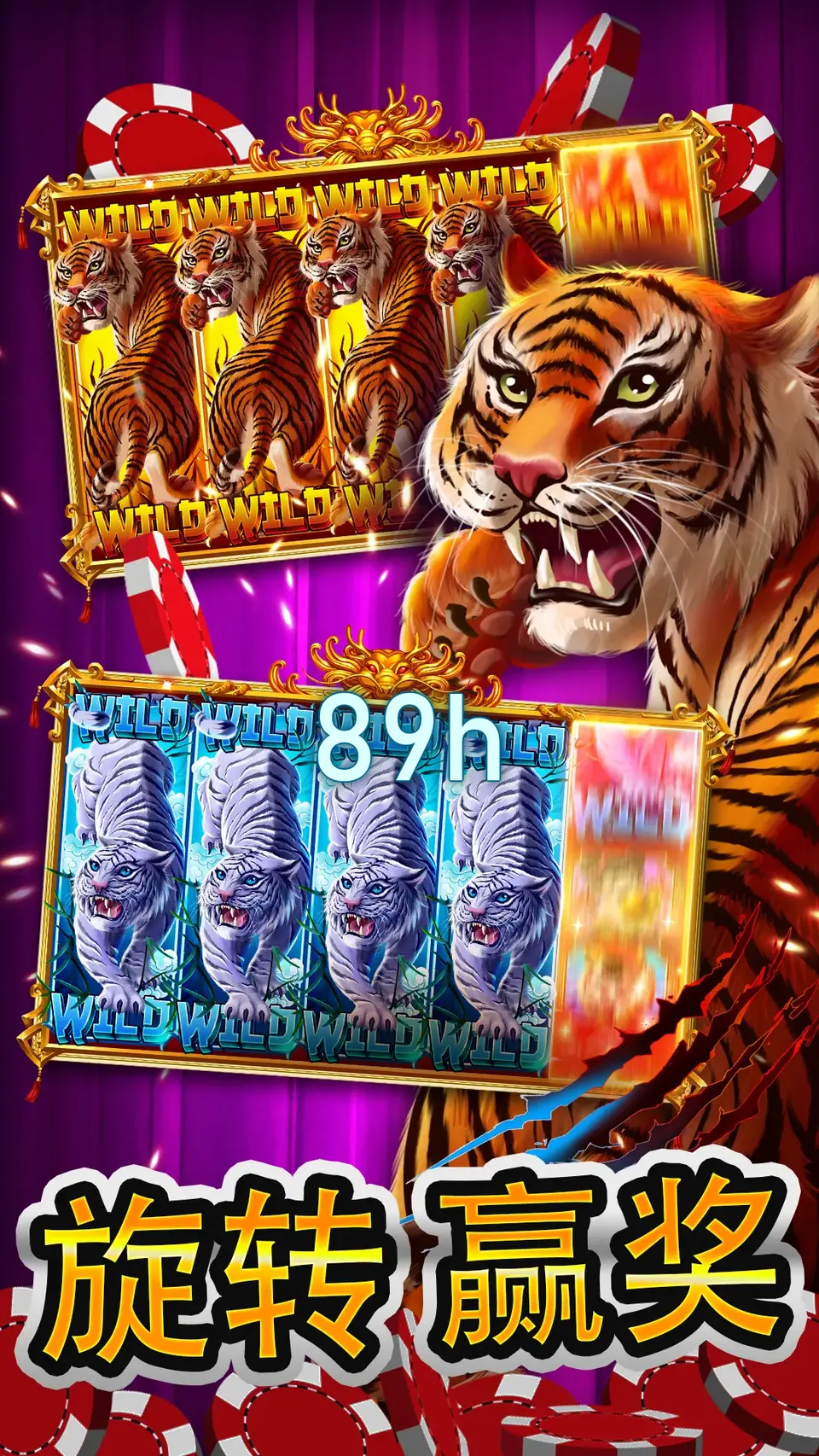 89h Mag-login